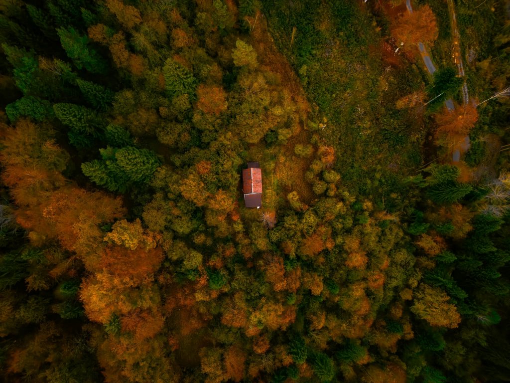 Raw Studios architecture + interior design. Photo of an aerial view of a small cabin nestled in autumn forest,  by Gabriele Merlino